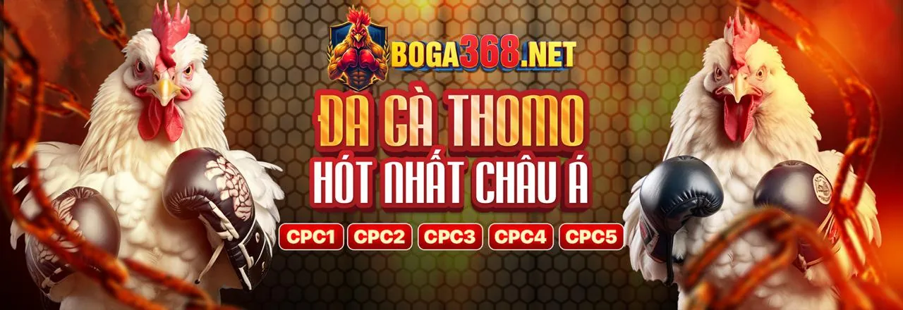 Cá cược quần vợt